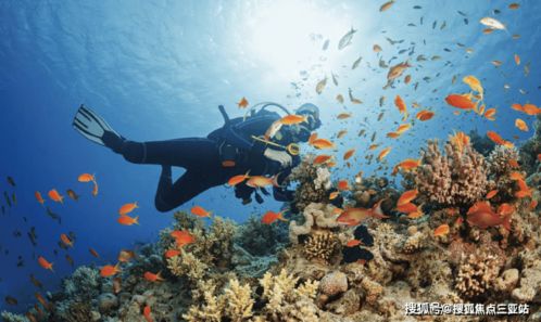 海棠·泰岳府 温泉入户，尽享康养度假雅居生活