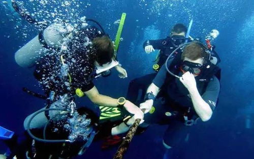 潜水小白的进击 一篇文章带你详解潜水核心装备